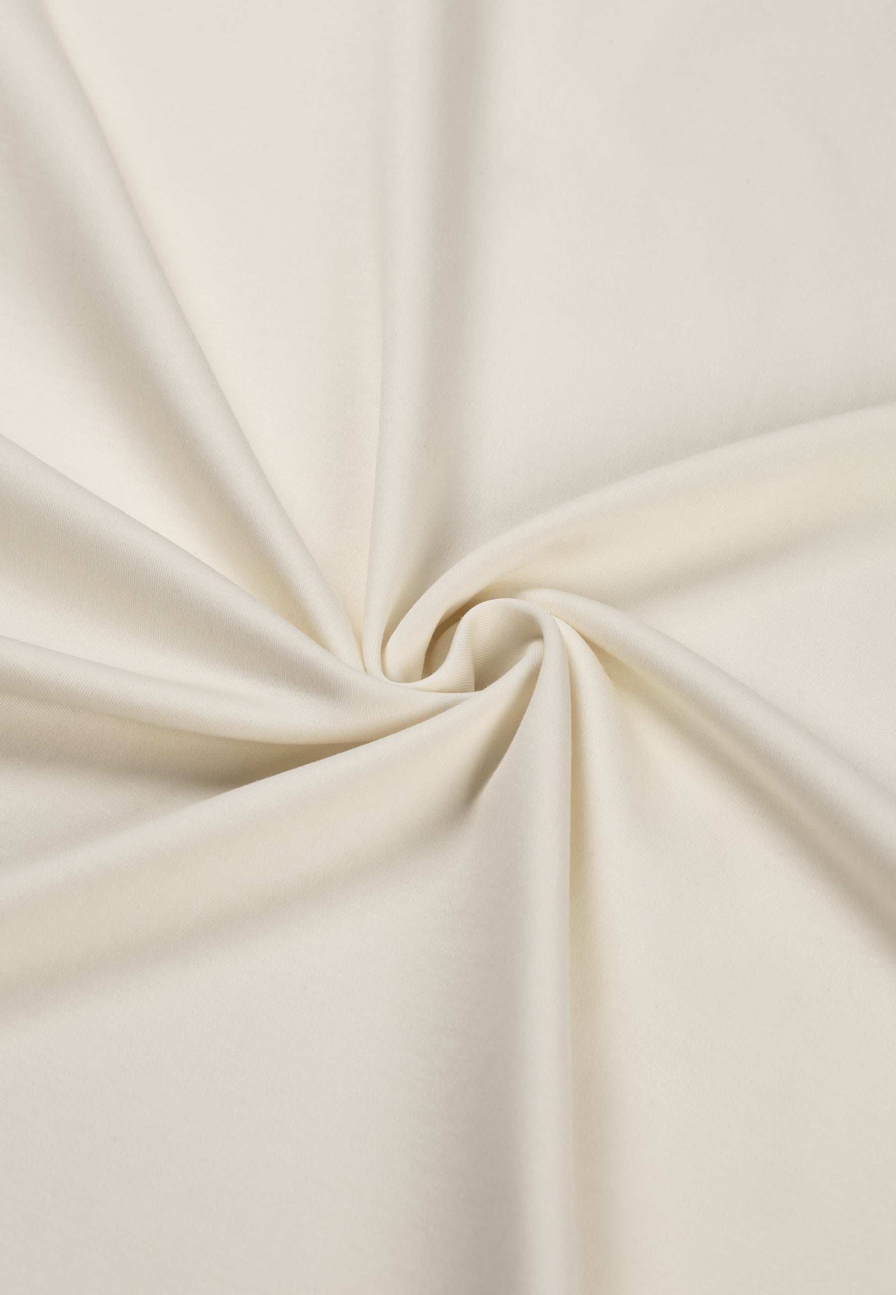 cherchio Premium | bone